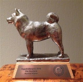 On November 5, 2016 Kazar recieved The Norwegian Kennel Club's Breeder's Award for the work with our lovely breed Borzoi through almost 40 years. This is a great honour, not many granted!