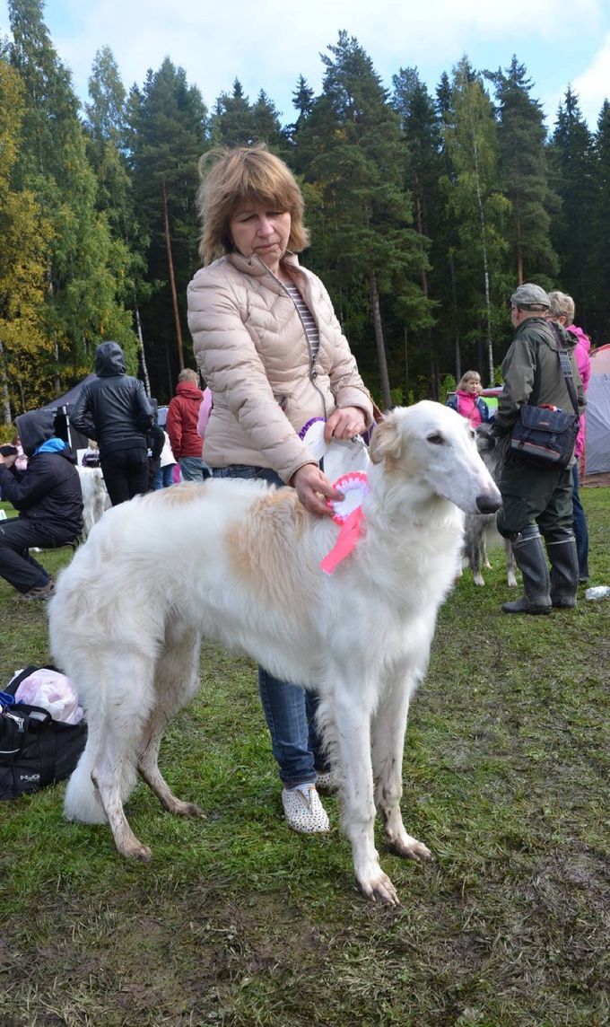 17.09.17. Kazar Xenos went Best of Breed Puppy in Tampere, Finland under judge Maija Makinen.
Owner: Tapio Rintala, Finland. 