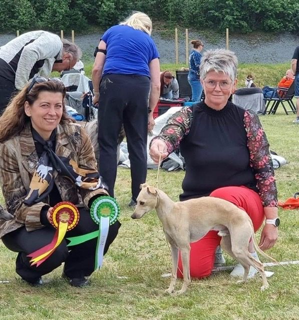 02 and 03.July 2022
2 National shows in Oppdal (N)) 
Kazar Calvino (Iggy): Best Male with CAC and BOS both days.
Judges: Milivoje Urosevic and Dagmar Klein
Owner Stine A. Utstrand